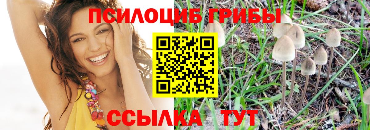 Галлюциногенные грибы MAGIC MUSHROOMS Серов
