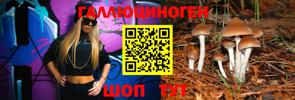 где купить наркотик  Вход с VPN  Серов  Псилоцибиновые грибы Psilocybe  Псилоцибиновые грибы Psilocybe 