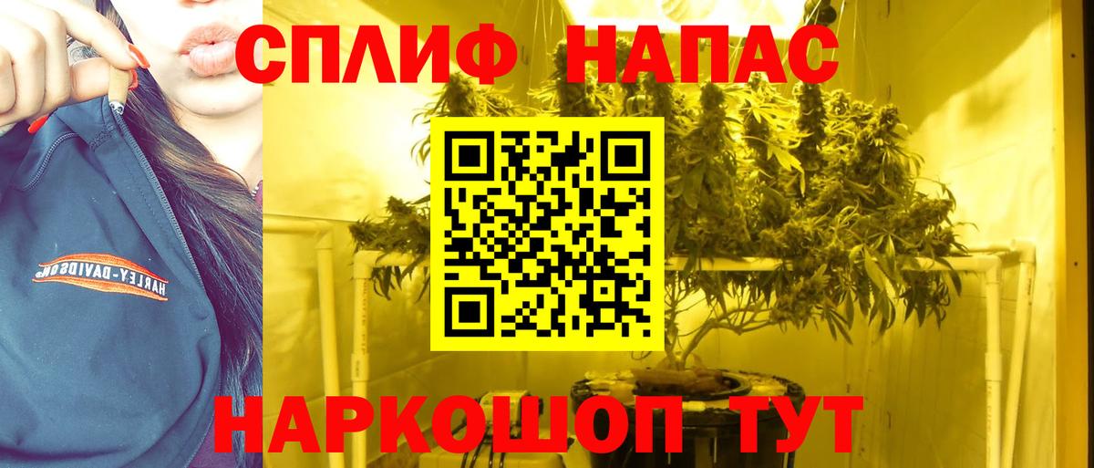 Бошки Шишки AK-47  Вход с VPN  Серов  Марихуана марихуана  Бошки Шишки тримм 